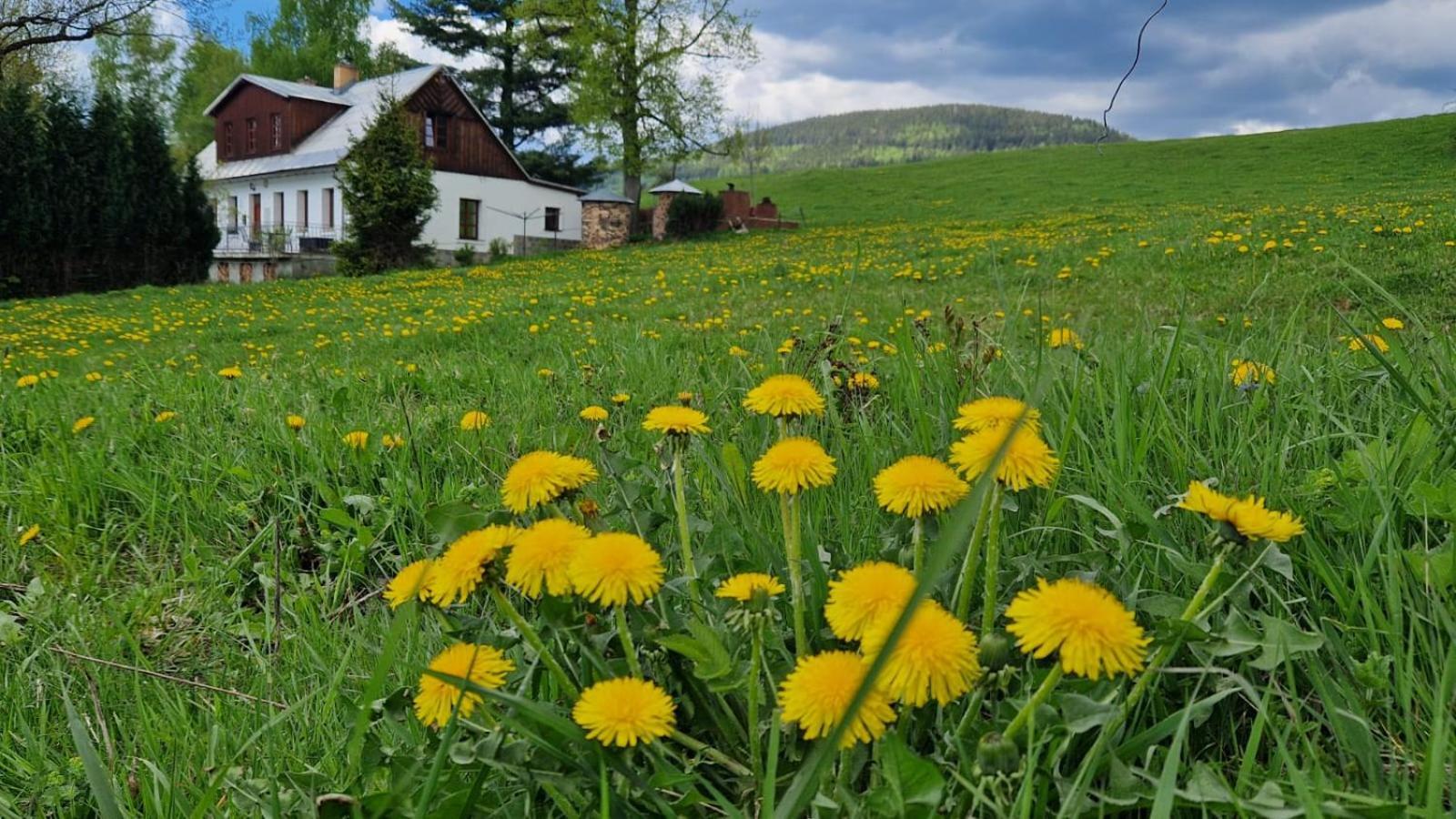 Knezice 25, Chalupa V Krkonosich Vrchlabi Bagian luar foto